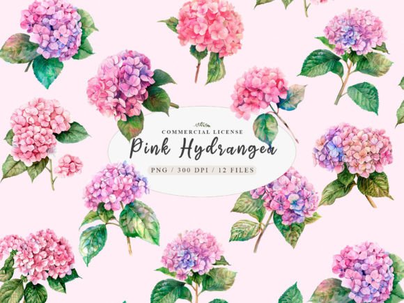 Download Pink Hydrangea Clipart,Watercolor Botany - Botany Collection